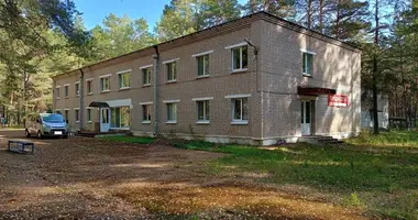 House in Radaskovicki sielski Saviet, Belarus