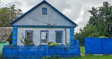 Haus in Vasiljeuka, Belarus