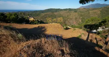 Terrain dans Benahavis, Espagne