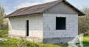 House in Rakitnica, Belarus