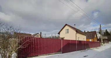 House in Piatryskauski sielski Saviet, Belarus