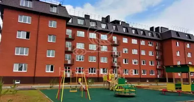 1 room apartment in gorodskoe poselenie Zubcov, Russia