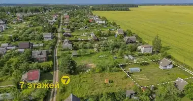 Haus in Holacki sielski Saviet, Belarus