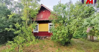 House in Proschicy, Belarus