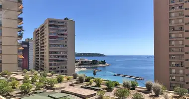 3 bedroom apartment in Monaco