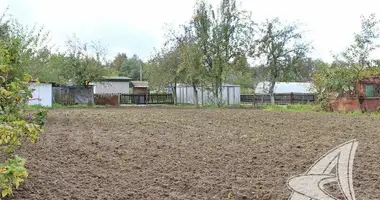 Plot of land in Matykalski sielski Saviet, Belarus