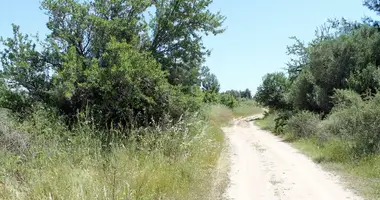 Terrain dans The Municipality of Sithonia, Grèce