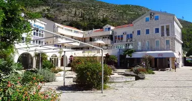 Commercial property 47 m² in Montenegro