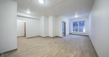 1 bedroom apartment in Riga, Latvia