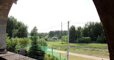 Cottage in Luhavaslabadski sielski Saviet, Belarus