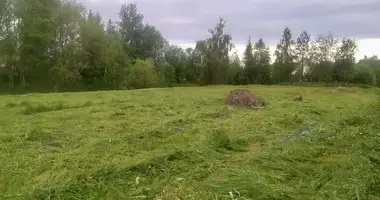 Plot of land in Dziamidavicki sielski Saviet, Belarus