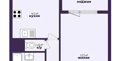 1 room apartment in Minsk, Belarus