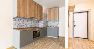 2 room apartment in Minsk, Belarus