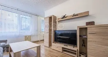 3 bedroom apartment in Most, Czech Republic