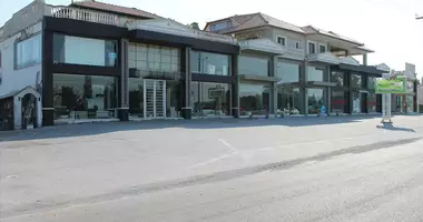 Commercial property 2 000 m² in Nea Trapezounta, Greece