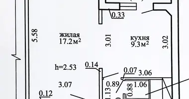 Квартира 1 комната в Копище, Беларусь