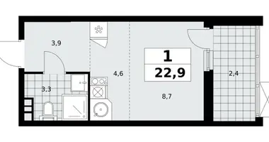 Wohnung 1 Zimmer in Moskau, Russland