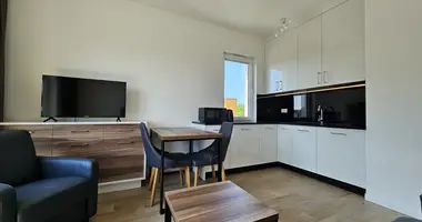 Studio apartment 1 bedroom in Warsaw, Poland