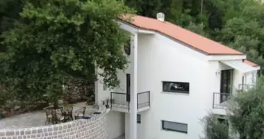 Villa 4 bedrooms with Terrace in Montenegro