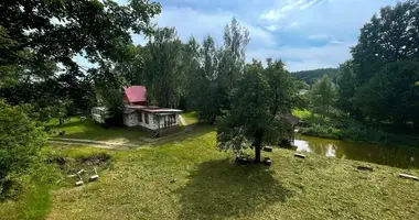 House in Saltanovka, Belarus