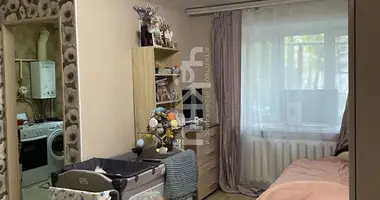 Apartment in Nizhny Novgorod, Russia