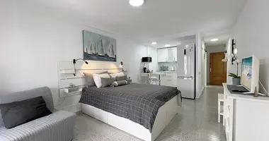 Studio apartment in Puerto de la Cruz, Spain