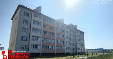 2 room apartment in conki, Belarus