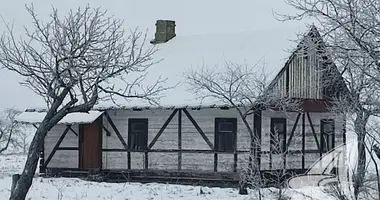 Maison dans Rakitnicki siel ski Saviet, Biélorussie