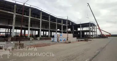 Produktion 392 m² in Luhavaslabadski sielski Saviet, Belarus