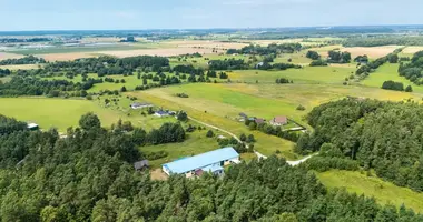 Propriété commerciale 130 m² dans Rokai, Lituanie