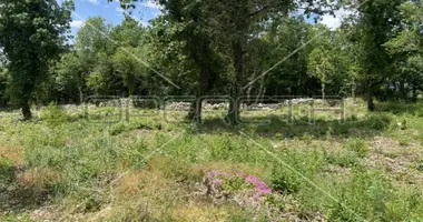 Plot of land in Sveti Lovrec, Croatia