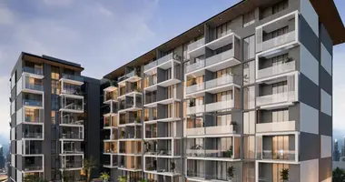 1 bedroom apartment in Dubai, United Arab Emirates