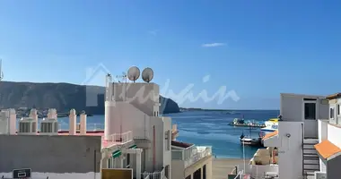 Entreprise établie 270 m² dans Arona, Espagne