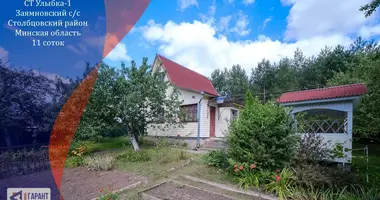 House in Saskouski sielski Saviet, Belarus