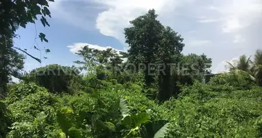 Plot of land in Tibubeneng, Indonesia