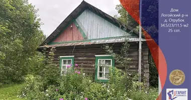 Casa en Pliescanicki sielski Saviet, Belarús