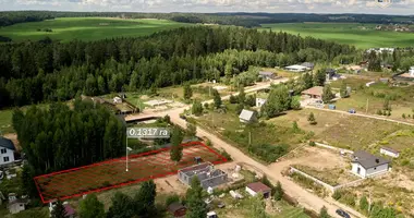 Plot of land in Piatryskauski sielski Saviet, Belarus