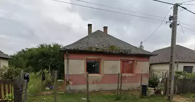 Haus 3 Zimmer in Nyiradony, Ungarn