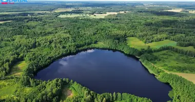 Plot of land in Petrauskai, Lithuania