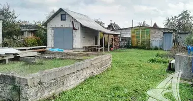 House in Kamianica Zyravieckaja, Belarus