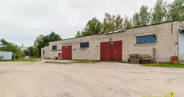 Propriété commerciale 510 m² dans Holacki sielski Saviet, Biélorussie