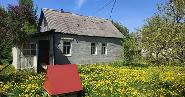 4 room house in Rudensk, Belarus
