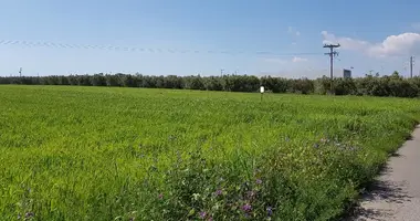 Plot of land in oikismos agioi anargyroi, Greece