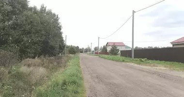Terrain dans Volosovo, Fédération de Russie