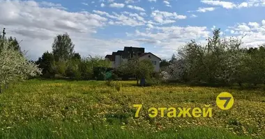 Plot of land in Scomyslicki sielski Saviet, Belarus