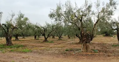 Plot of land in Gerakini, Greece