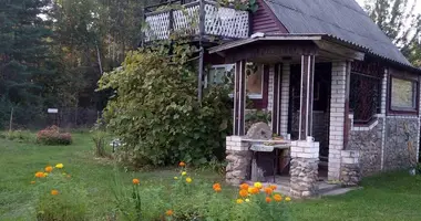 Дом в Блужский сельский Совет, Беларусь