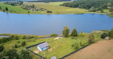 House in Mikalajeuscynski sielski Saviet, Belarus