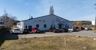 Boutique 1 253 m² dans Zbaszyn, Pologne