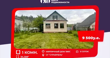 Casa 1 habitación en Starobinski sielski Saviet, Bielorrusia